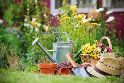 Come scegliere energie rinnovabili per la nostra casa